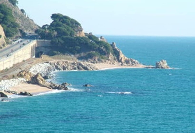 اتاق استاندارد یک نفره, Gran Sol