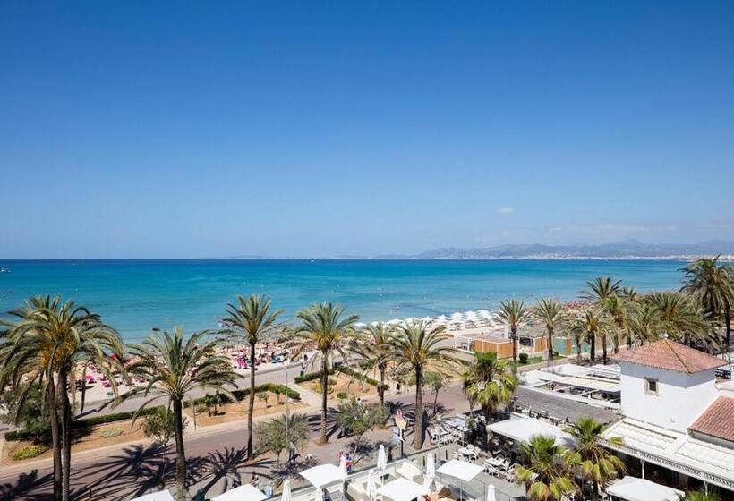 سوییت جونیور با چشم‌انداز دریا, Myseahouse Flamingo - Adults Only 4* Sup