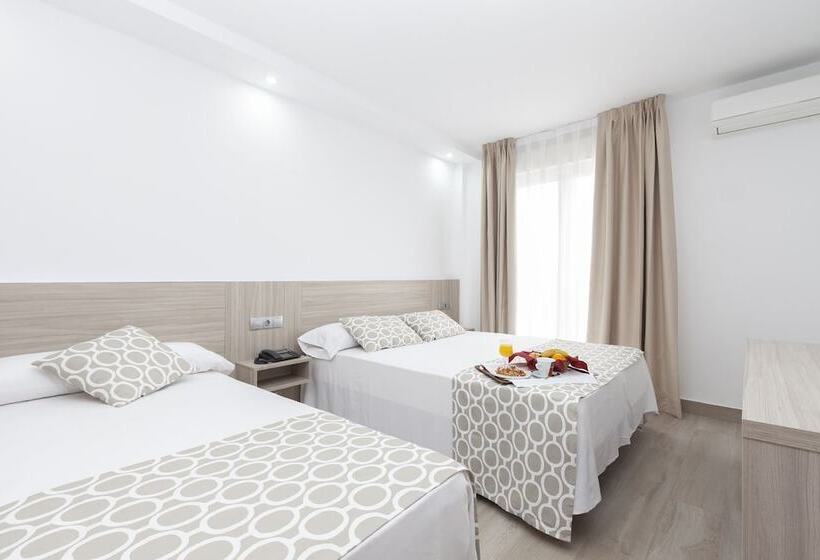 اتاق استاندارد چهار تخته, Olympia Ronda Ii