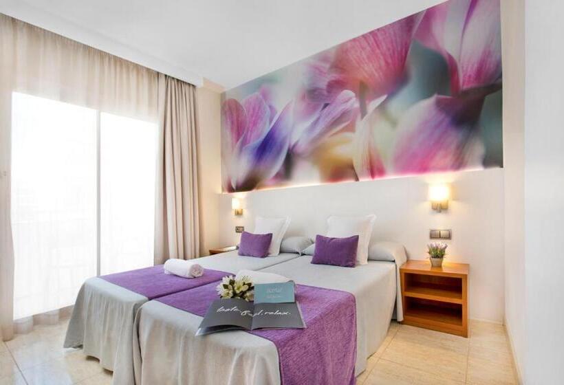 اتاق استاندارد, Sumus Monteplaya & Spa 4* Sup - Adults Only