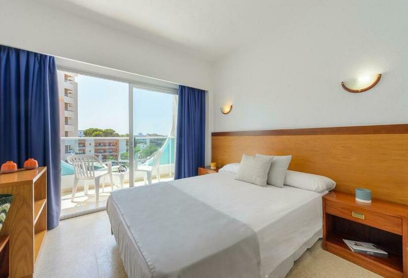 Standard Single Room, Vibra Palma Cactus