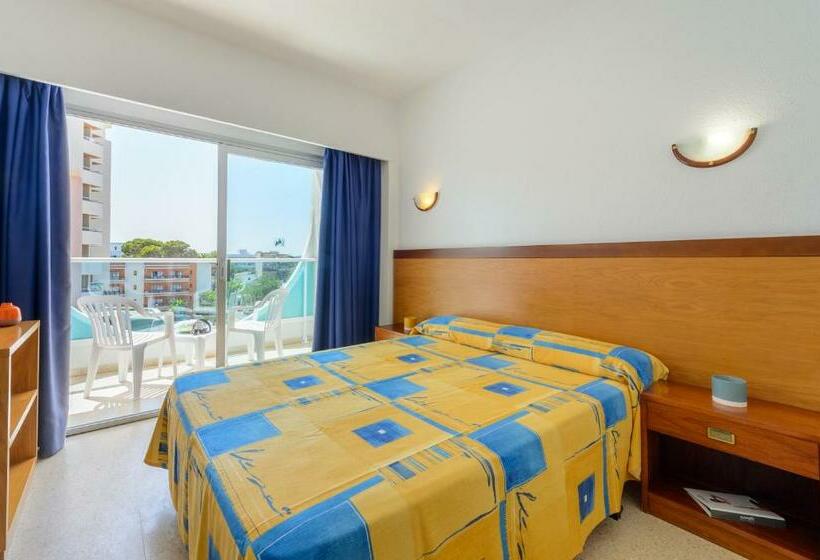 Standard Single Room, Vibra Palma Cactus