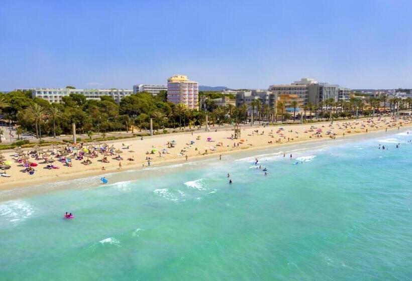 اتاق استاندارد یک نفره, Leman Hotel y Apartamentos
