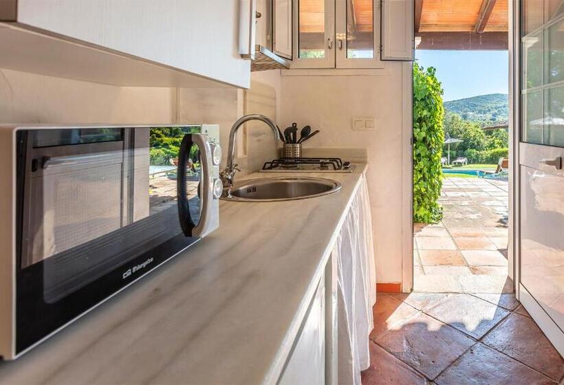 4인용 스탠다드 룸, Apart Cortijo Las Piñas