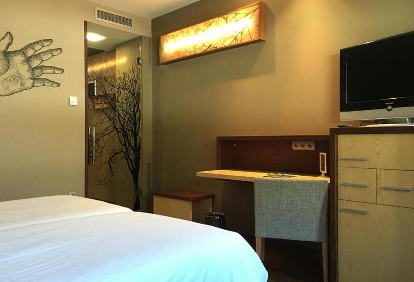 اتاق استاندارد یک نفره, Sommos Hotel Aneto