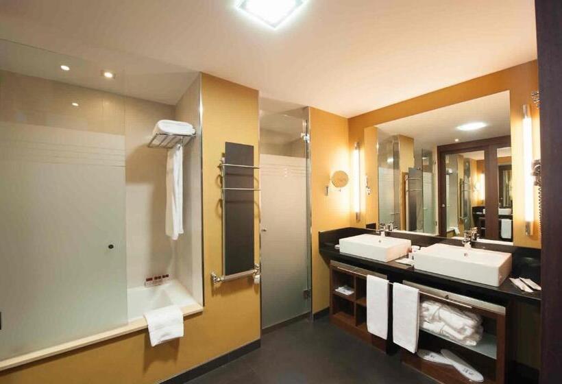 اتاق استاندارد, Sommos Hotel Aneto