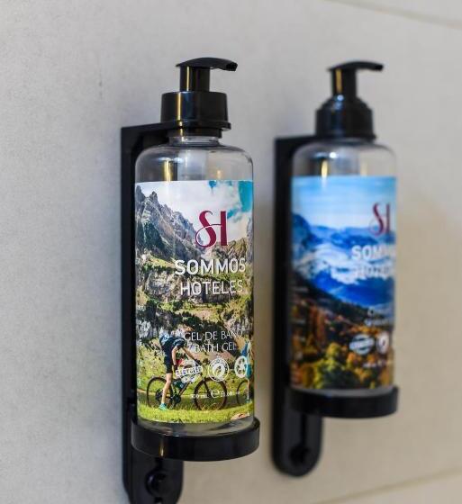اتاق استاندارد, Sommos Hotel Aneto