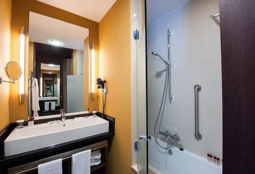 اتاق استاندارد یک نفره, Sommos Hotel Aneto