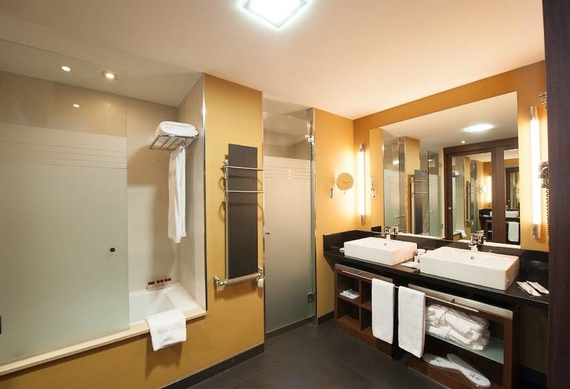 اتاق استاندارد, Sommos Hotel Aneto