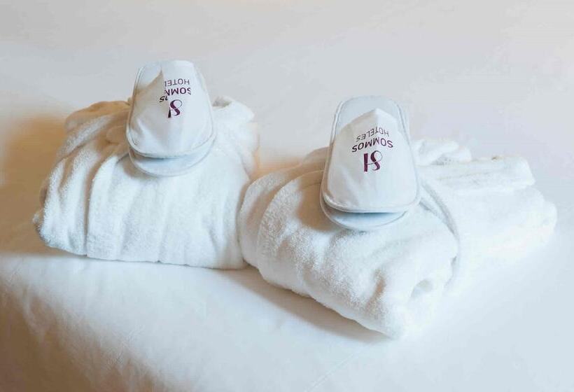 اتاق استاندارد, Sommos Hotel Aneto