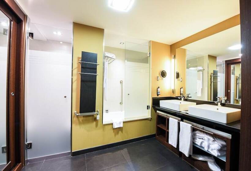 اتاق استاندارد با تراس, Sommos Hotel Aneto