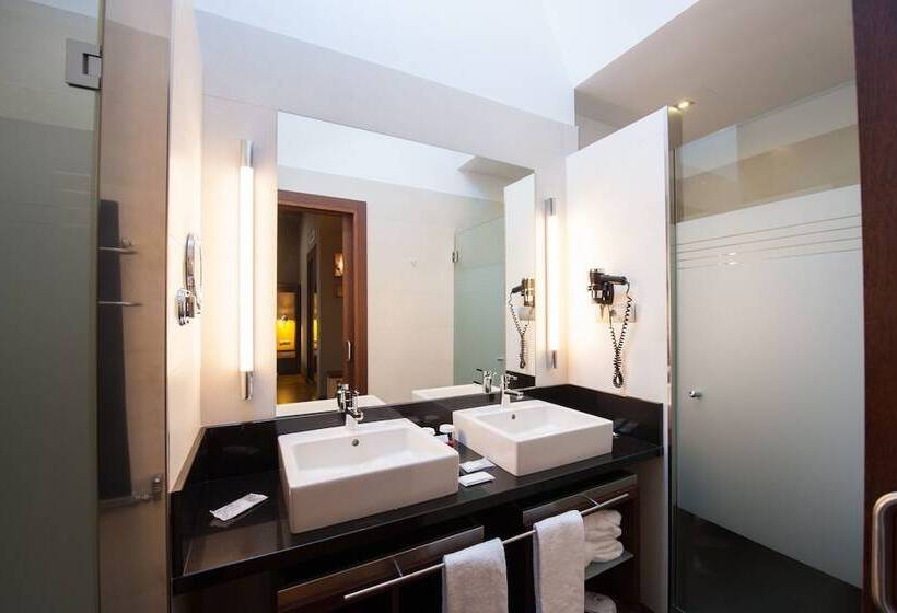 اتاق استاندارد با تراس, Sommos Hotel Aneto
