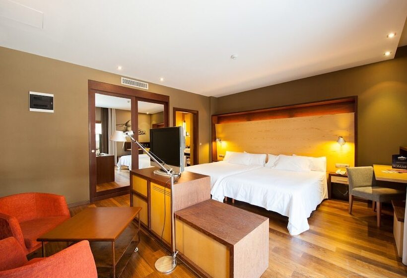 اتاق سوپریور, Sommos Hotel Aneto