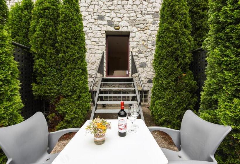 Standard Room with Terrace, Sommos Hotel Benasque Spa