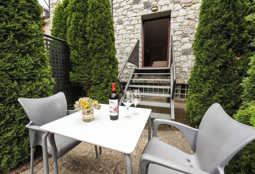 Standard Room with Terrace, Sommos Hotel Benasque Spa