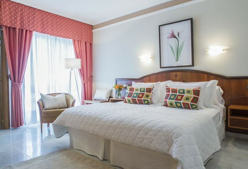 Standard Room, Nuevo Astur Spa