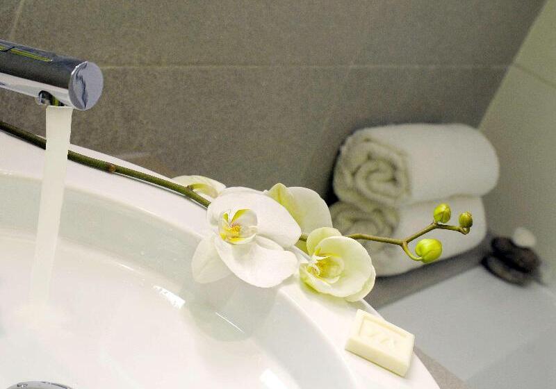 اتاق استاندارد, Aqua Hotel Bertran Park
