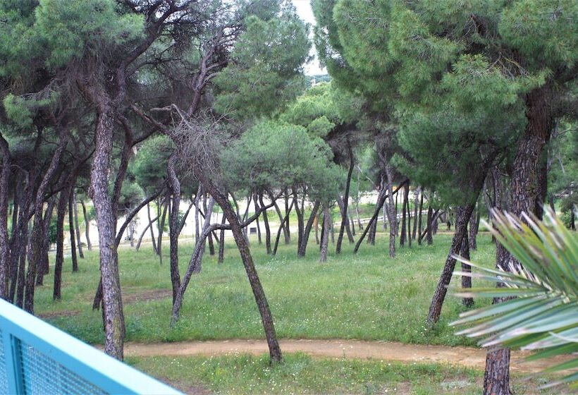 اتاق سوپریور, Oromana
