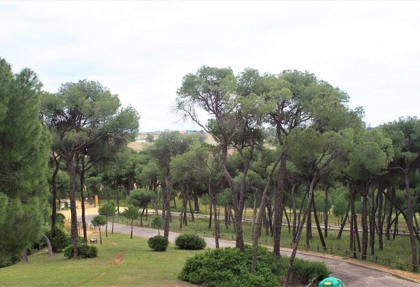 اتاق سوپریور, Oromana