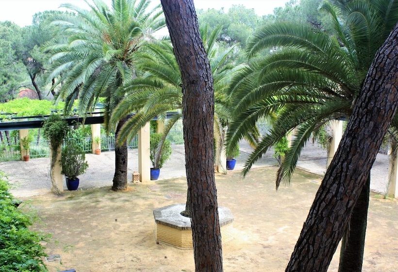 سوییت جونیور, Oromana