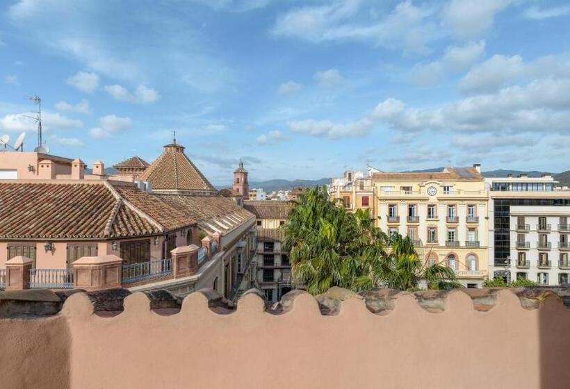 آپارتمان دوبلکس 1 خوابه, Larios Málaga