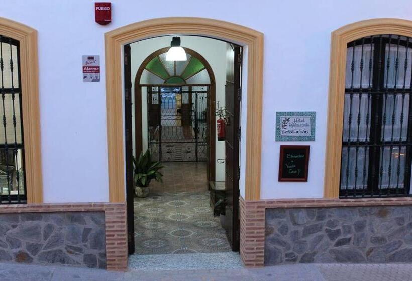 اتاق استاندارد, Entreolivos