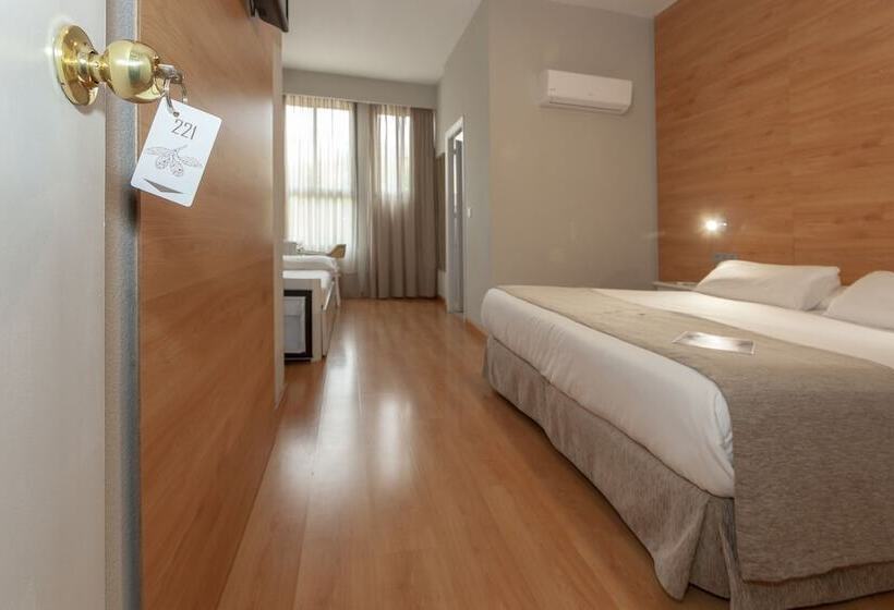 اتاق اکونومی, Aacr Hotel Monteolivos