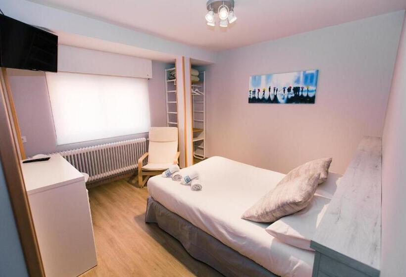 Standard Room Double Bed, Hostal Viena