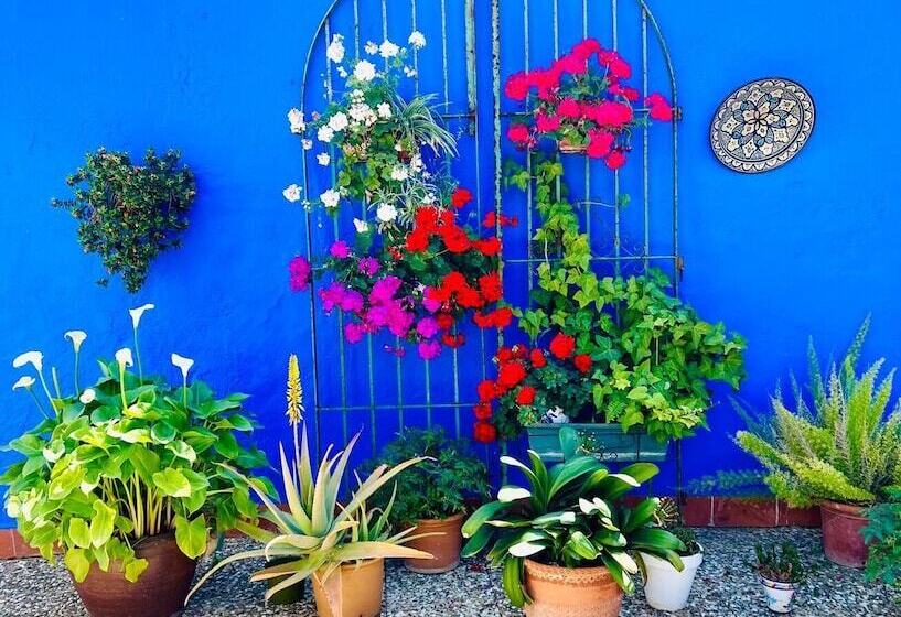 スタンダードルーム, Hostal El Faro