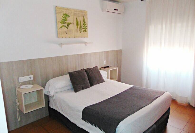 Standard Single Room, Campomar Playa