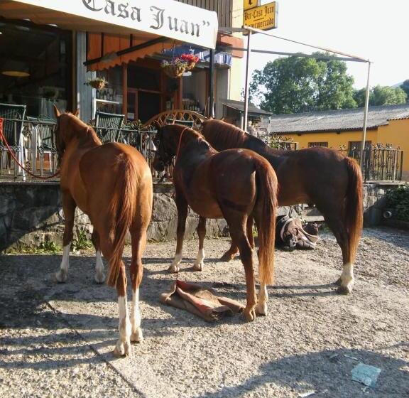 اتاق استاندارد, Hostal Casa Juan