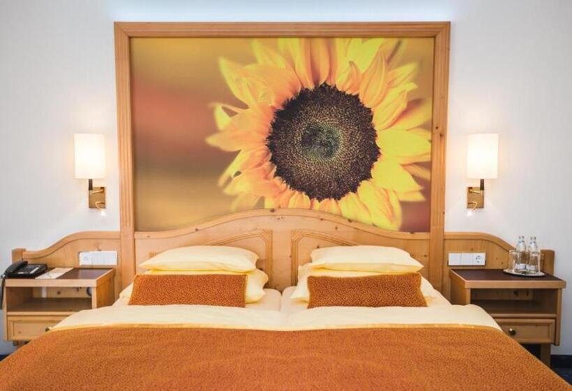 اتاق کلاسیک, Europäischer Hof Aktivhotel & Spa