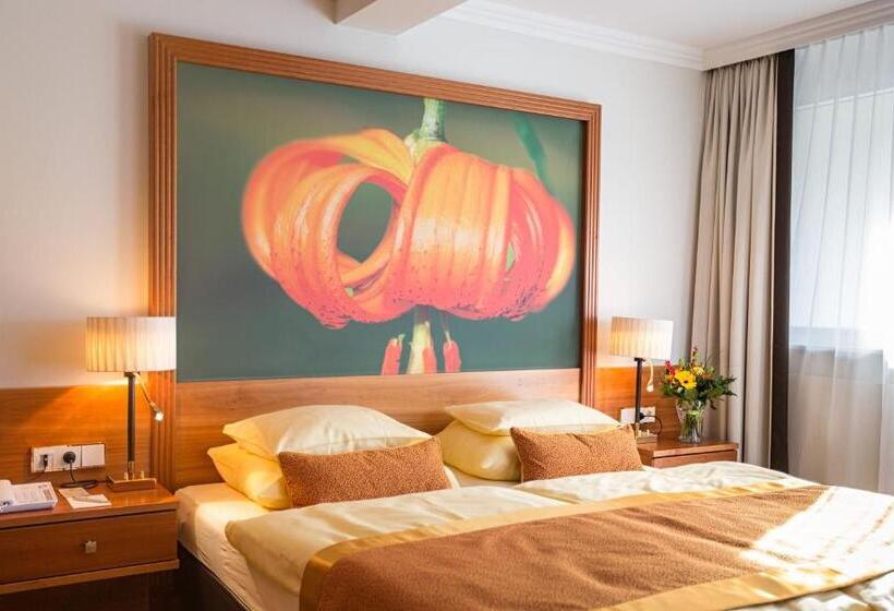 اتاق سوپریور, Europäischer Hof Aktivhotel & Spa