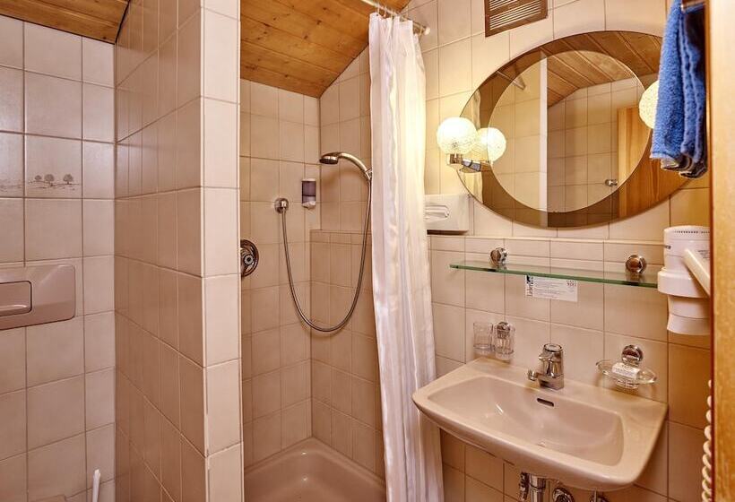 اتاق استاندارد, Monika & Montafon Chalets