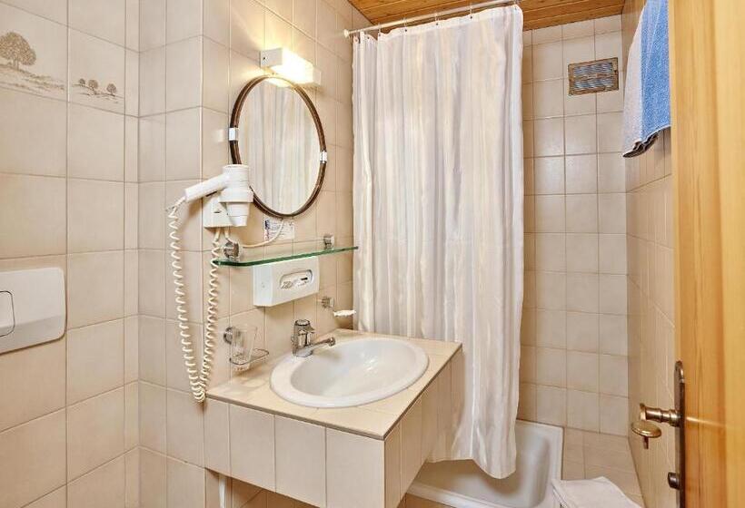 اتاق استاندارد یک نفره, Monika & Montafon Chalets