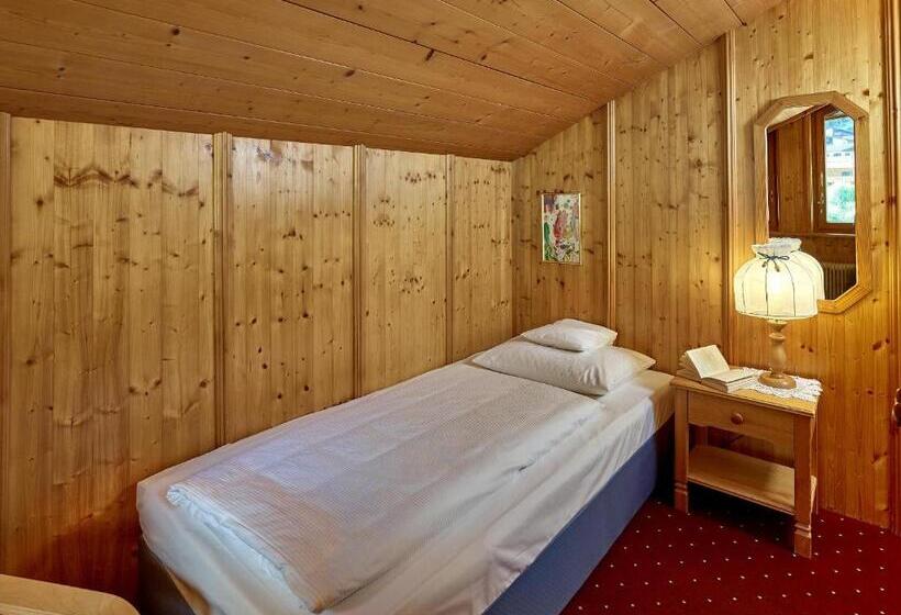 اتاق استاندارد یک نفره, Monika & Montafon Chalets
