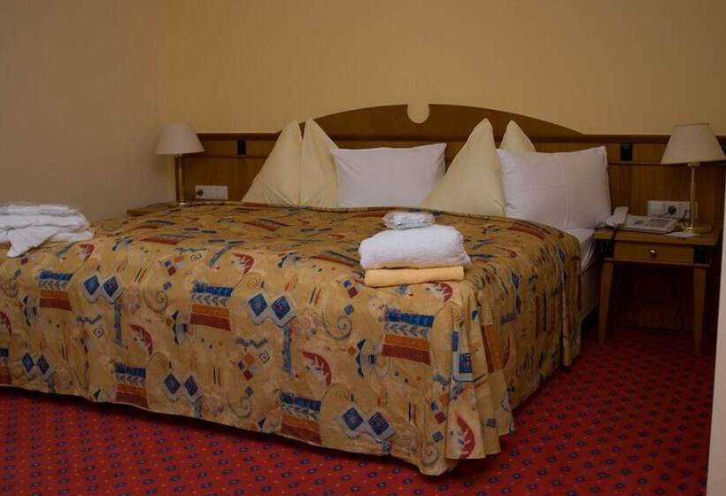 اتاق استاندارد, Thermal Resort Hotel Elisabethpark