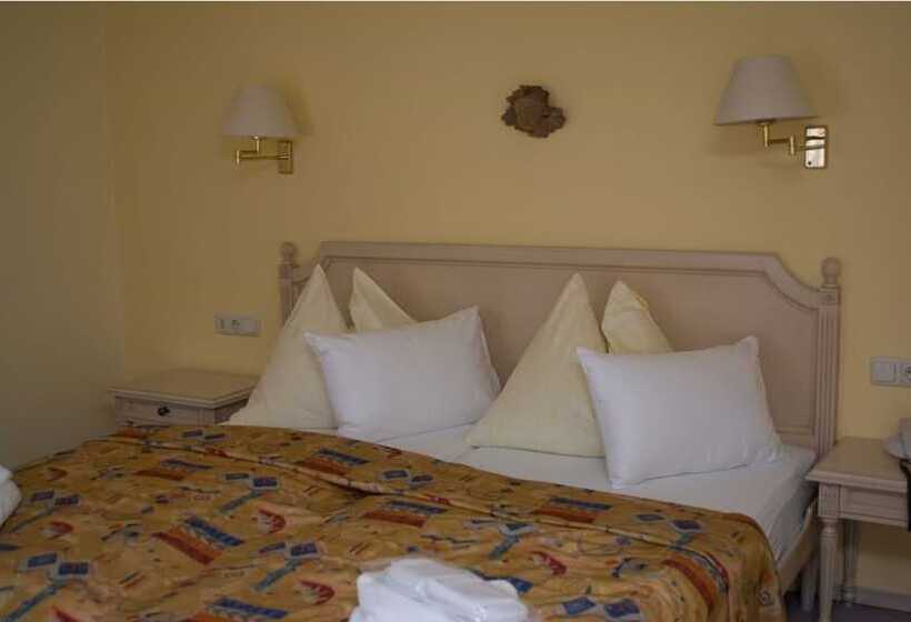 اتاق استاندارد, Thermal Resort Hotel Elisabethpark