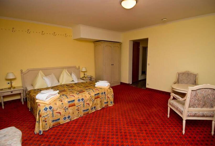 اتاق استاندارد, Thermal Resort Hotel Elisabethpark