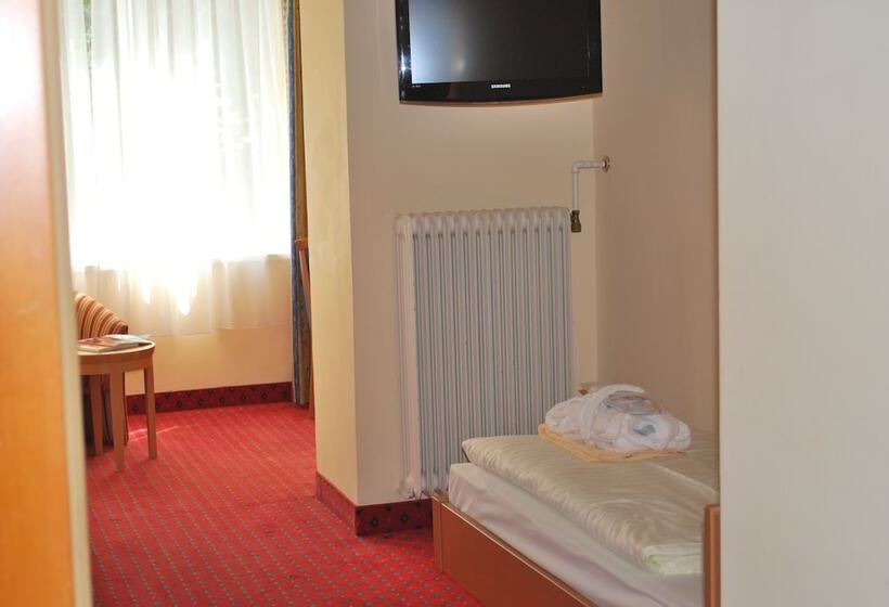 اتاق استاندارد یک نفره, Thermal Resort Hotel Elisabethpark