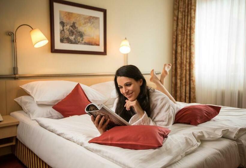 اتاق استاندارد یک نفره, Sporthotel Royer