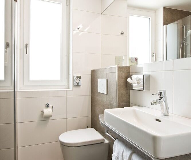 اتاق کلاسیک یک تخته, Stadthotel Goldenes Schiff