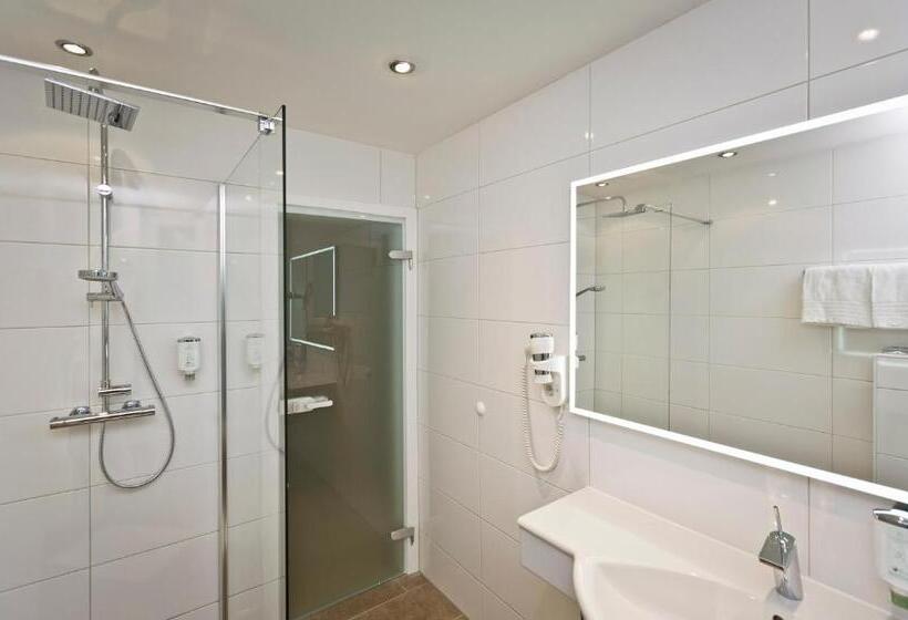 اتاق لوکس, Stadthotel Goldenes Schiff