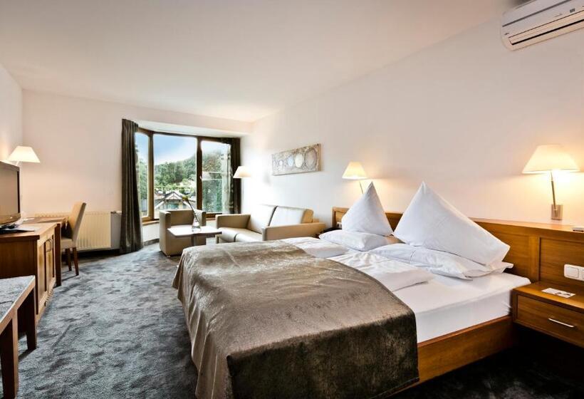 اتاق لوکس, Stadthotel Goldenes Schiff