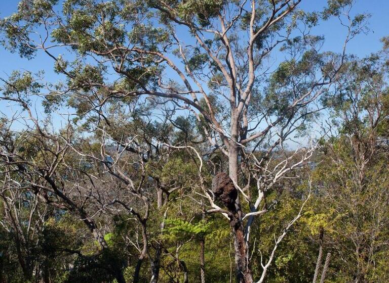 Quarto standart vista jardim, Bannisters Port Stephens