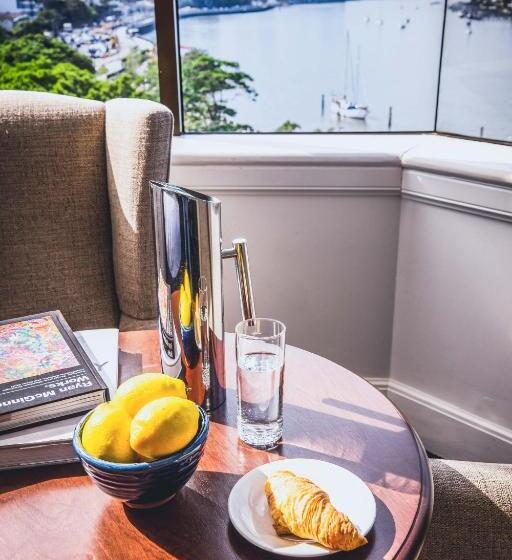 اتاق استاندارد با چشم‌انداز, View Brisbane