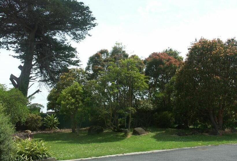 اتاق خانوادگی, Melaleuca Motel