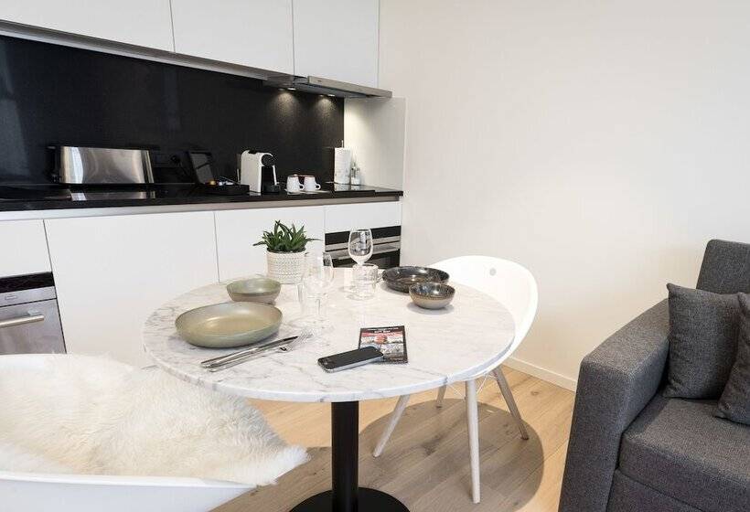 1 Bedroom Penthouse Apartment, Premier Suites Plus Antwerp