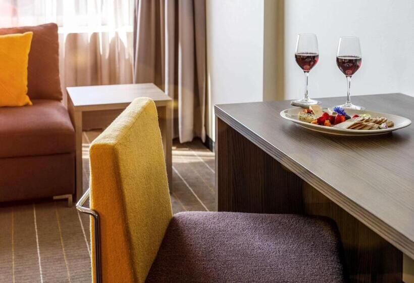 اتاق اجرایی با تخت بزرگ, Sydney Central Hotel Managed By The Ascott Limited