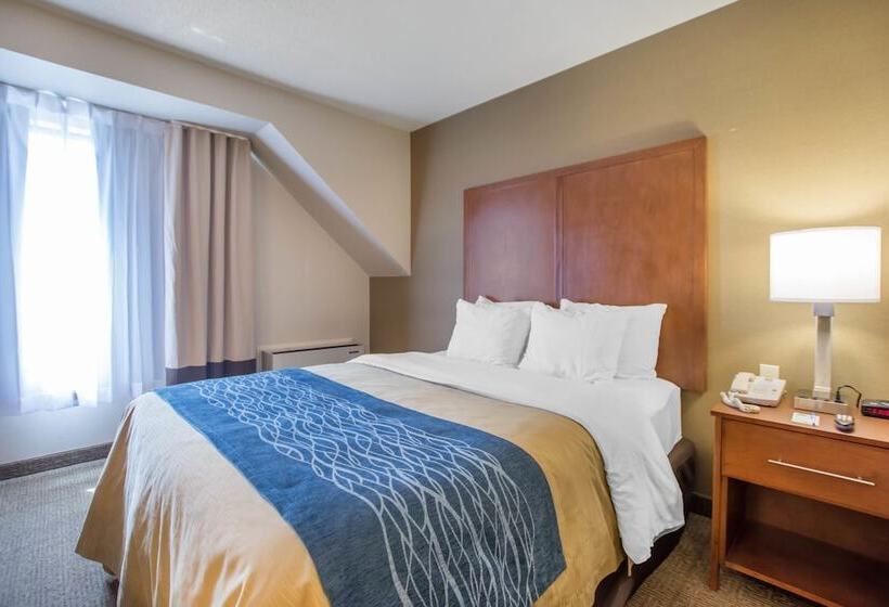 اتاق استاندارد با 2 تخت دوبل, Comfort Inn  Bathurst